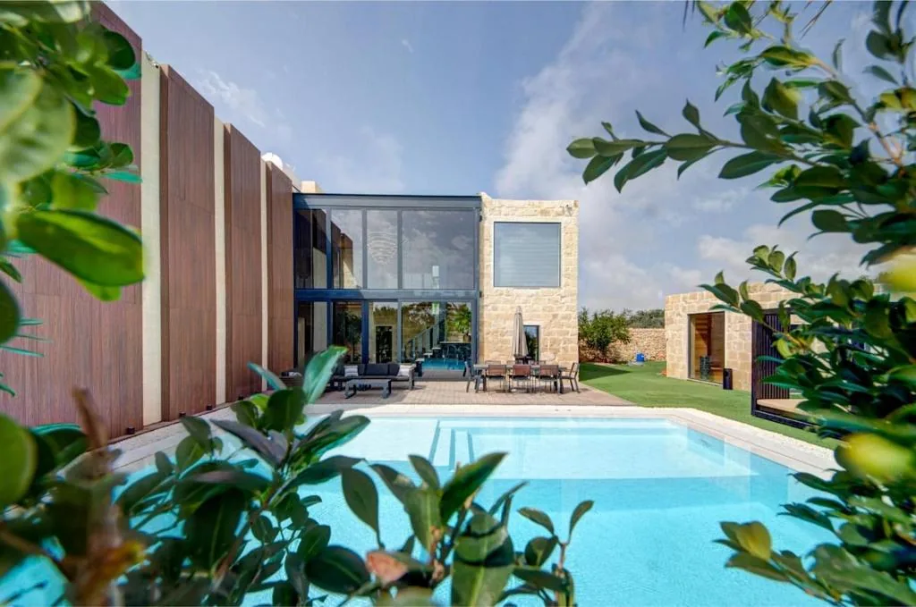 The pool seen through olive branches